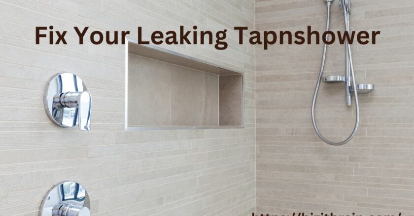 Fix Your Leaking Tapnshower