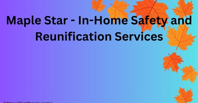 Maple Star – In-Home Safety and Reunification Services