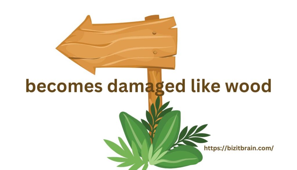 becomes damaged like wood