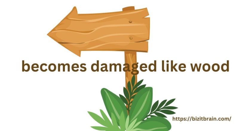 Understanding becomes damaged like wood