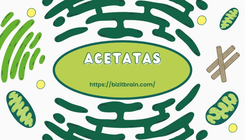 acetatas