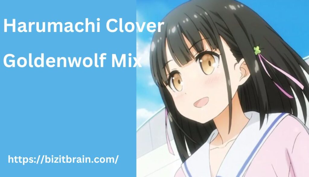 harumachi clover goldenwolf mix