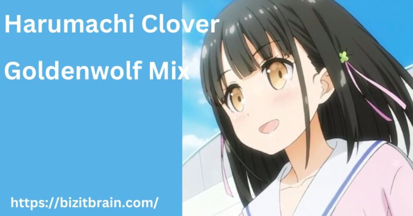 Harumachi Clover Goldenwolf Mix