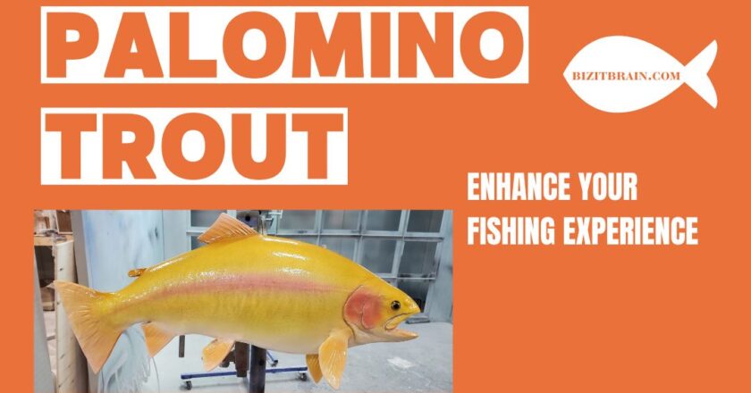 palomino trout Enhance Your Fishing Experience