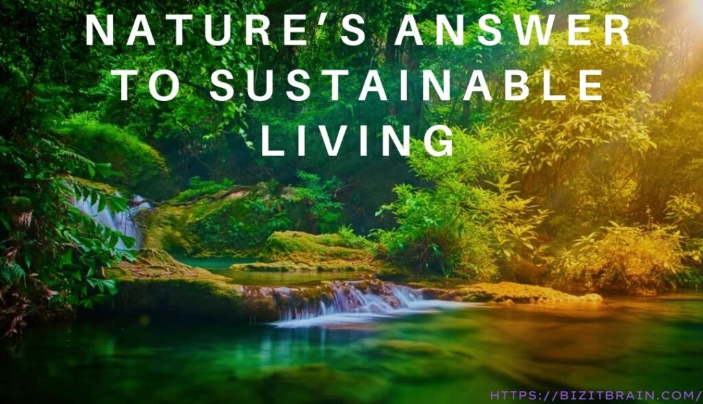 Natural Real YTR: Nature’s Answer to Sustainable Living