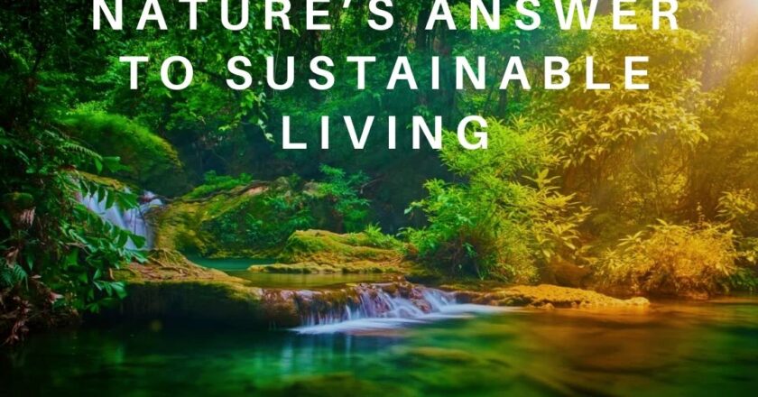 Natural Real YTR: Nature’s Answer to Sustainable Living