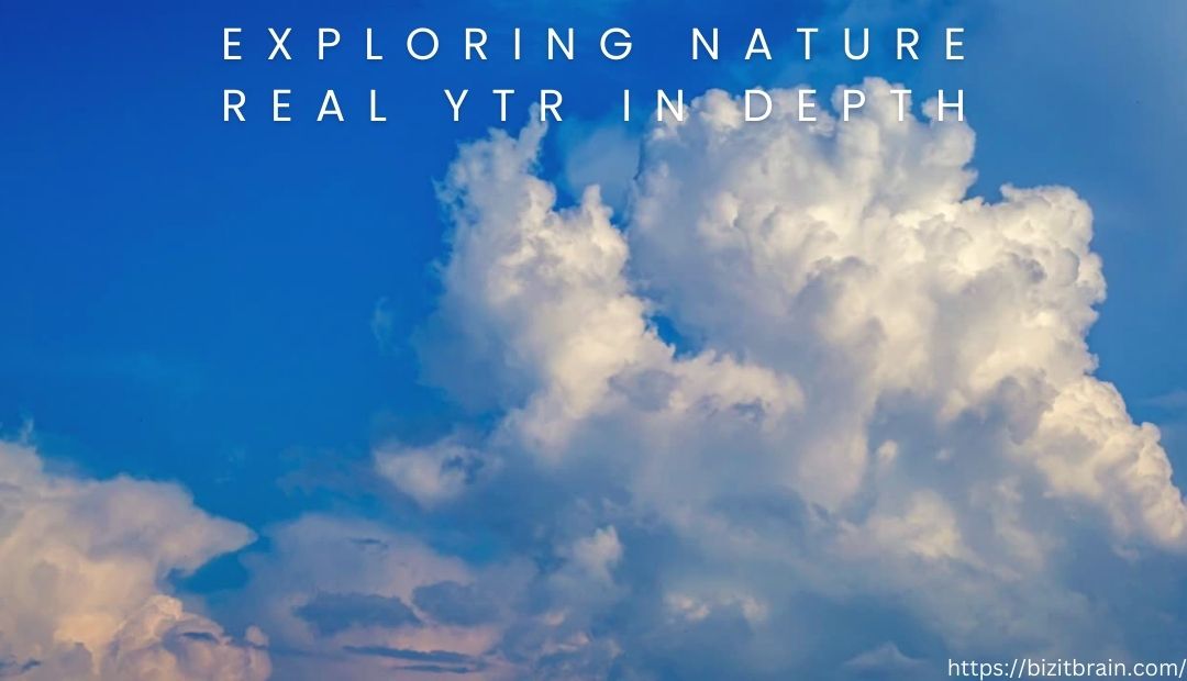 Natural Real YTR: Nature’s Answer to Sustainable Living