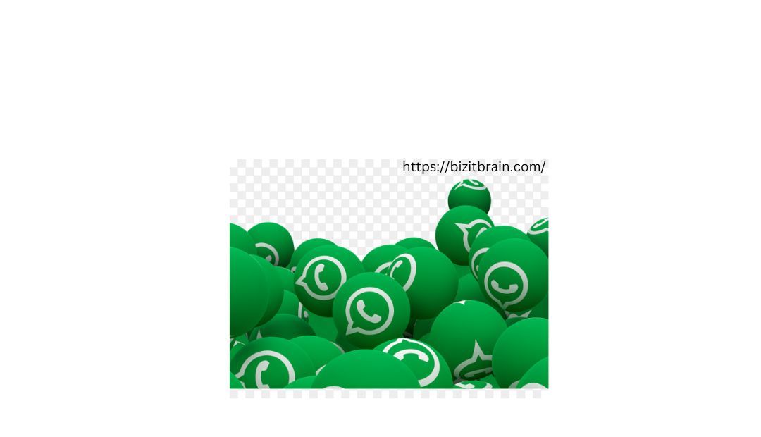 What You Need to Know About TMWhatsApp APK: Features and Benefits