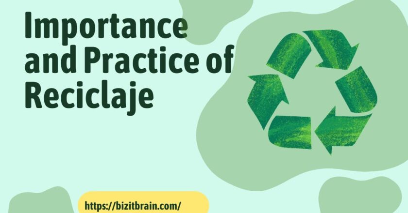 Importance and Practice of Reciclaje